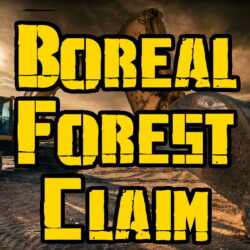 BOREAL FOREST CLAIM - The Claim That Made Us Famous! Expect To Find Plenty Of Gold In Each Bag Of This Phenomenal Paydirt!
