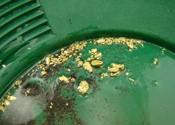 gold in pan